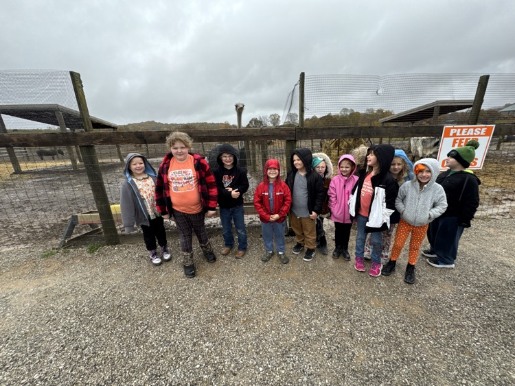 🎃✨ Pumpkin Patch Fun! ✨🎃 Our K–4th grade Green Hills kiddos had the BEST fall adventure at Hillview Stables Pumpkin Patch! 🍂🐐 From seeing the farm animals to enjoying all the fall fun, our students were all smiles and giggles the whole day. 😄🍎🎃