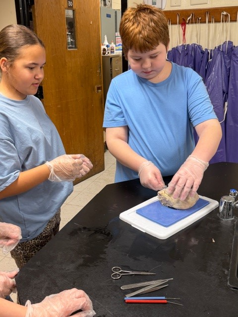 Students participate in hands-on science lab.