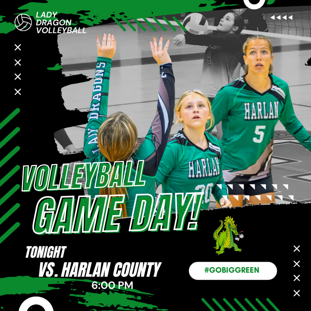 VOLLEYBALL GAME DAY