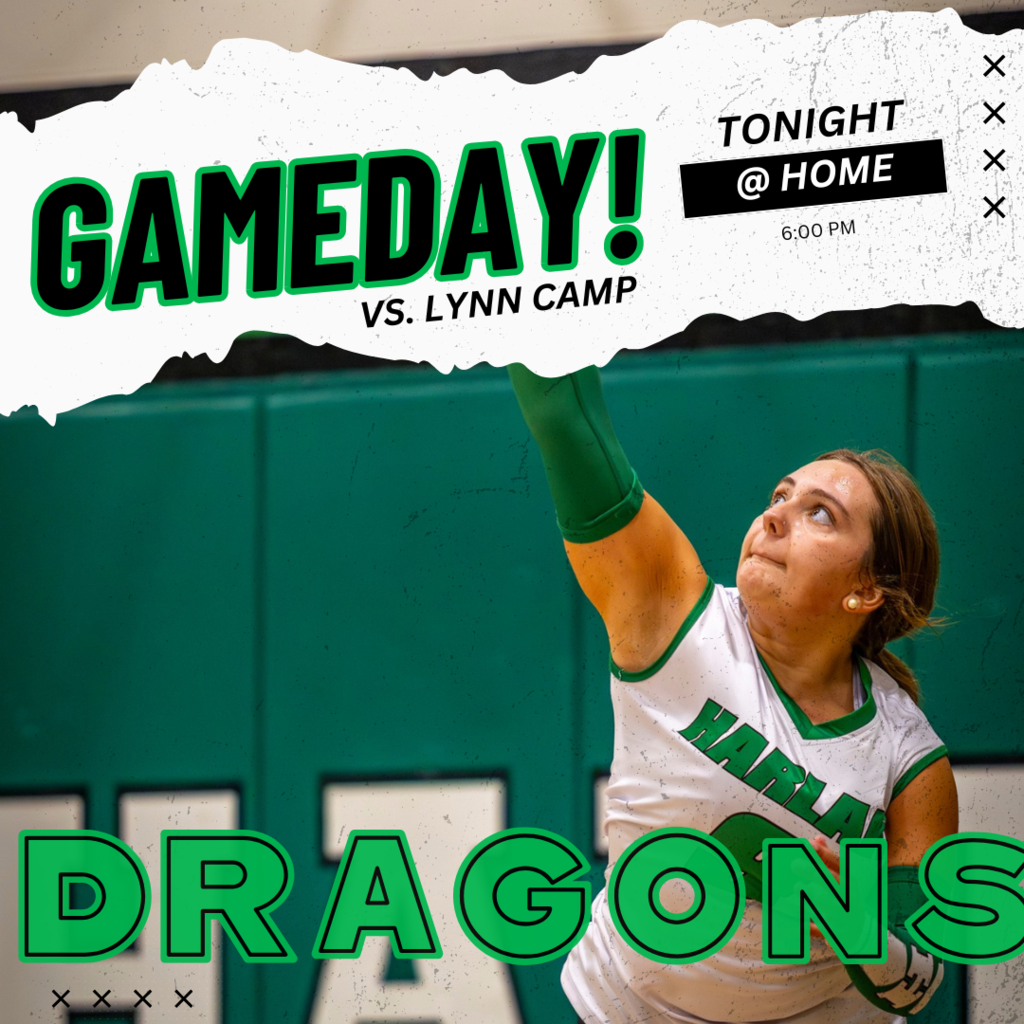 Volleyball Game Day
