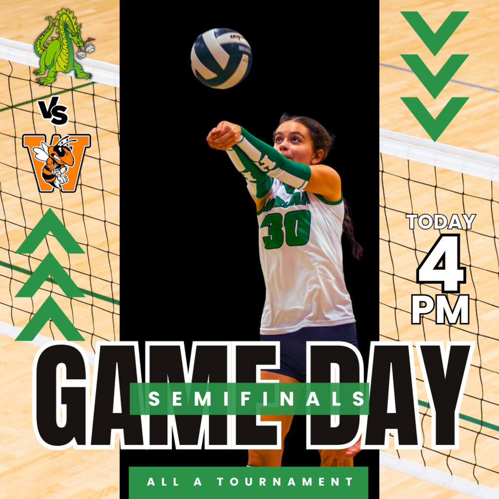 Volleyball Game Day