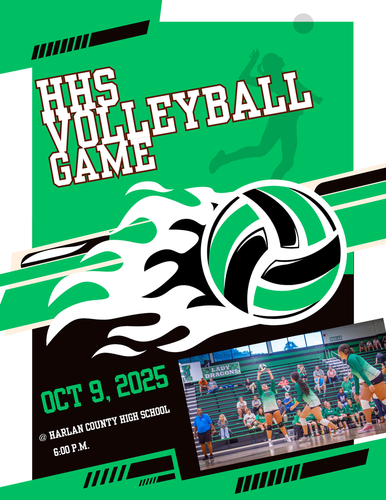 Dragons volleyball poster