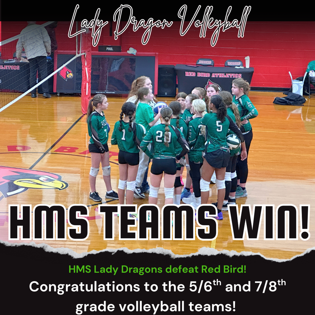 Volleyball HMS Win