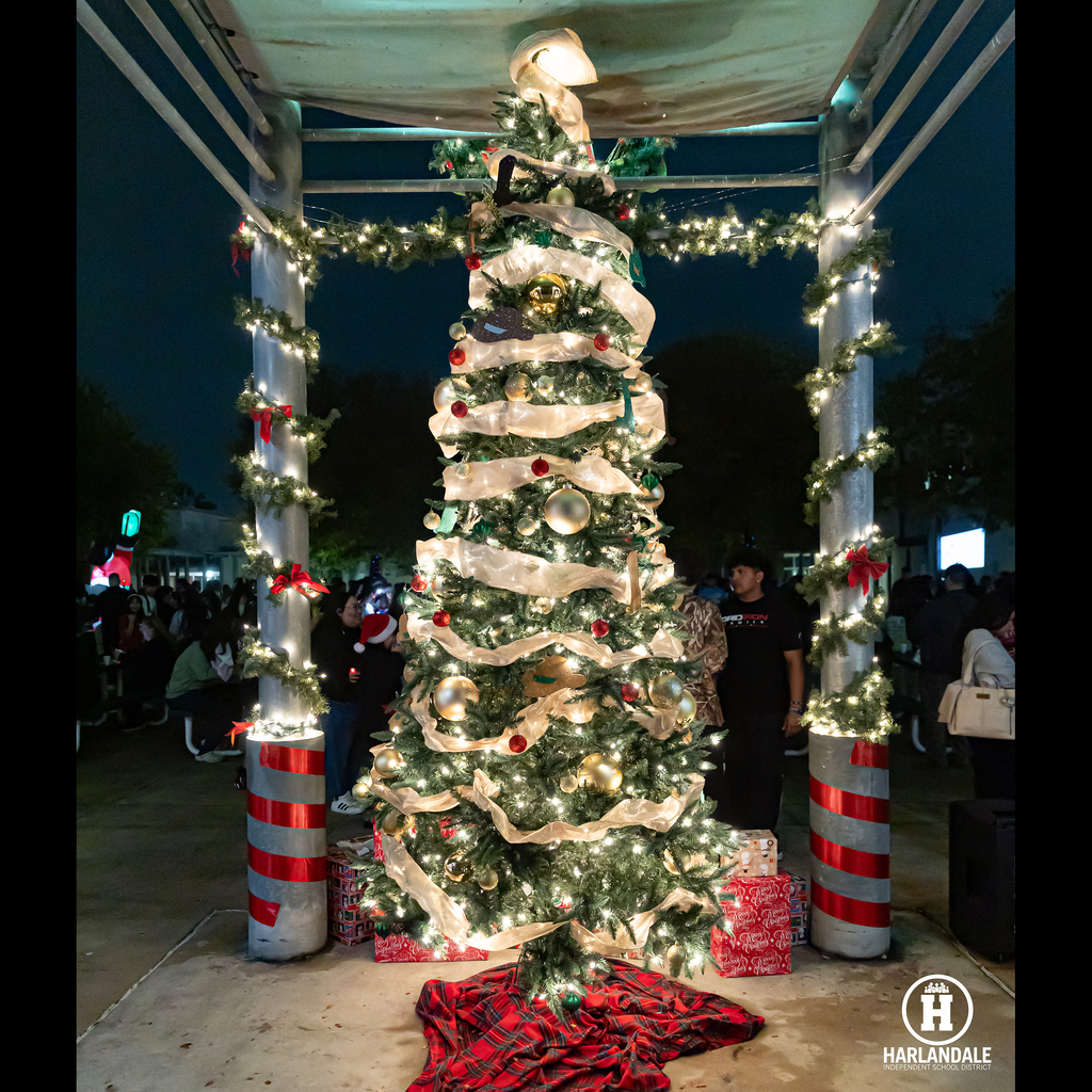 Tree Lighting