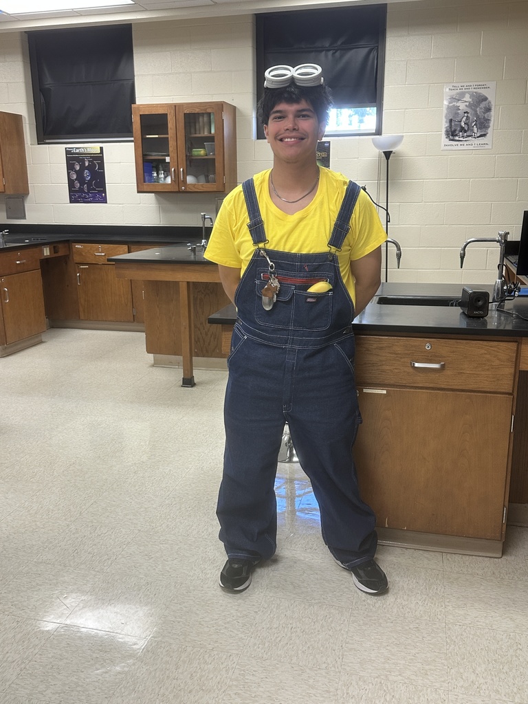 Minions at Work/School