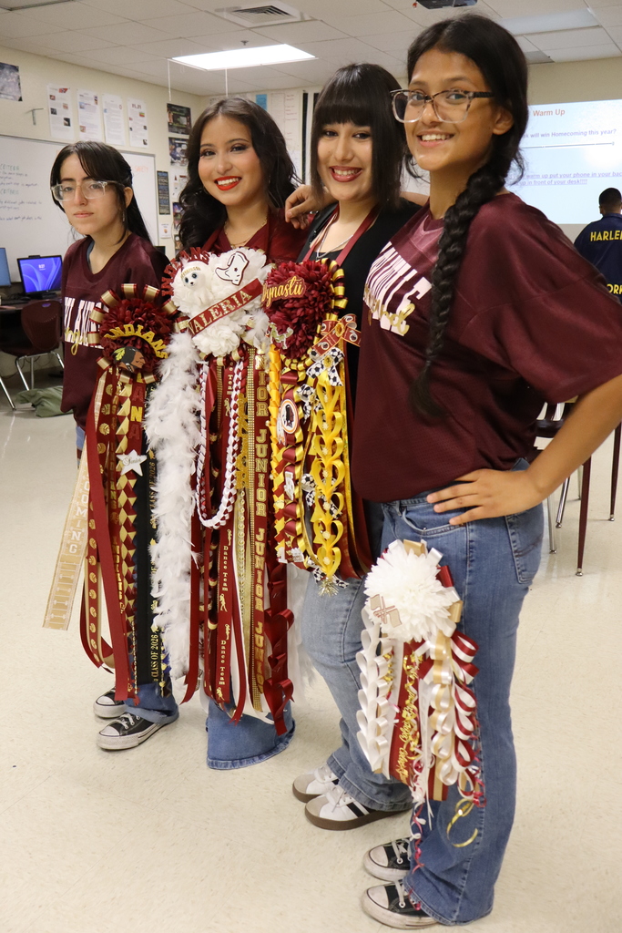 HOCO Mums