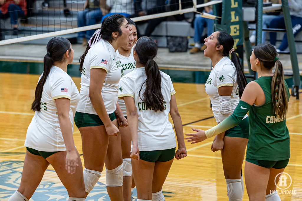 2025 MHS Volleball Bi-District Champs