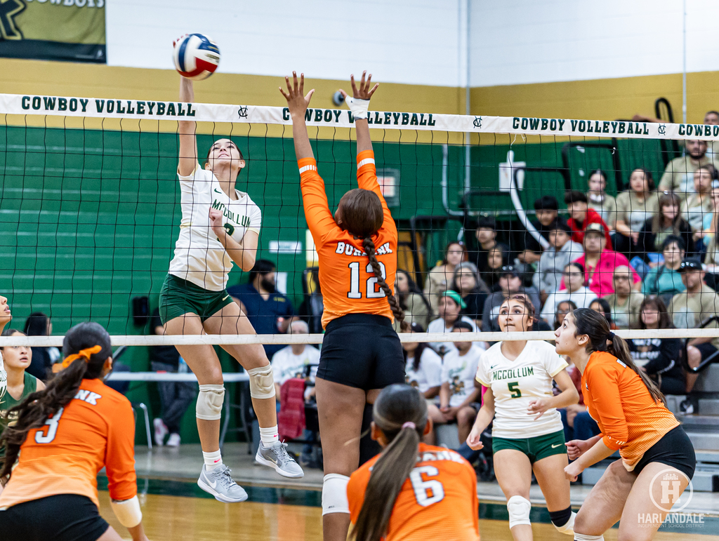 2025 MHS Volleball Bi-District Champs