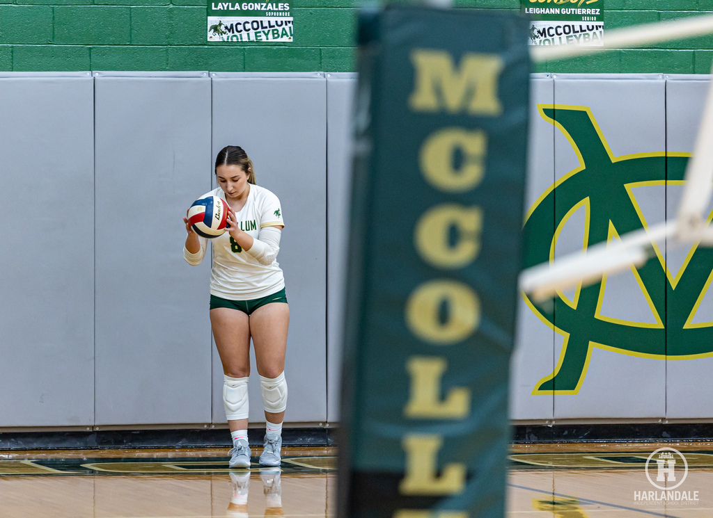 2025 MHS Volleball Bi-District Champs