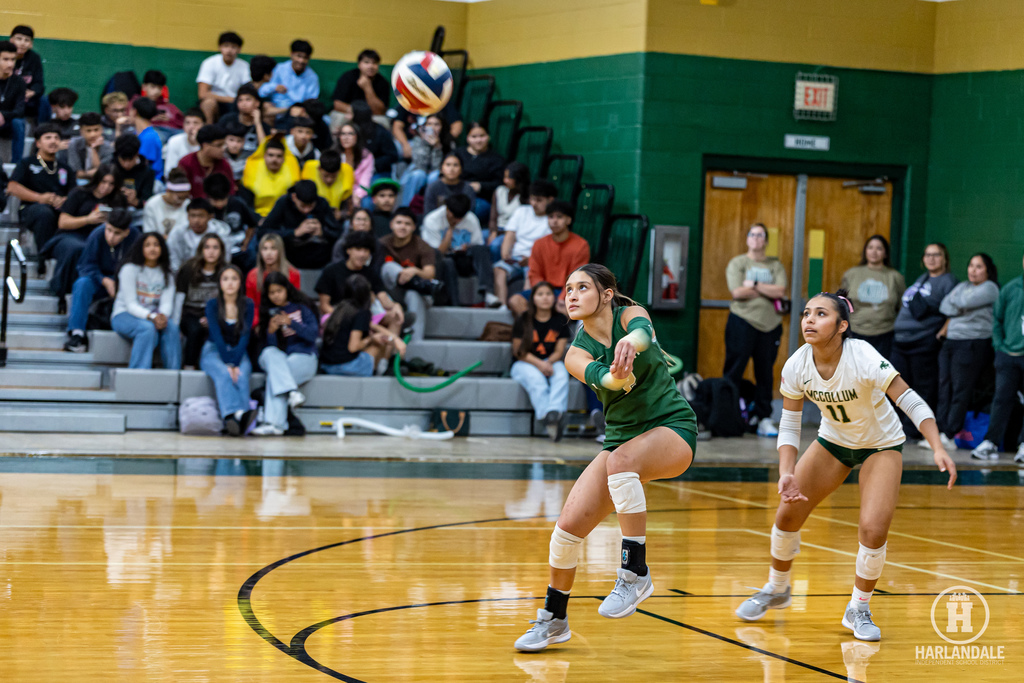 2025 MHS Volleball Bi-District Champs