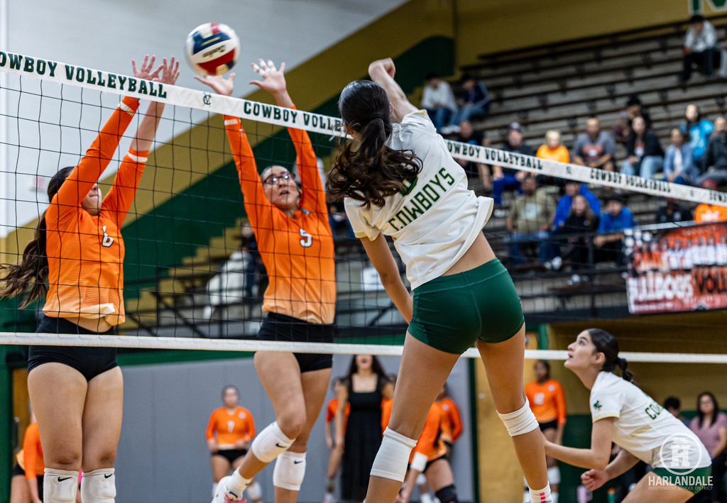 2025 MHS Volleball Bi-District Champs