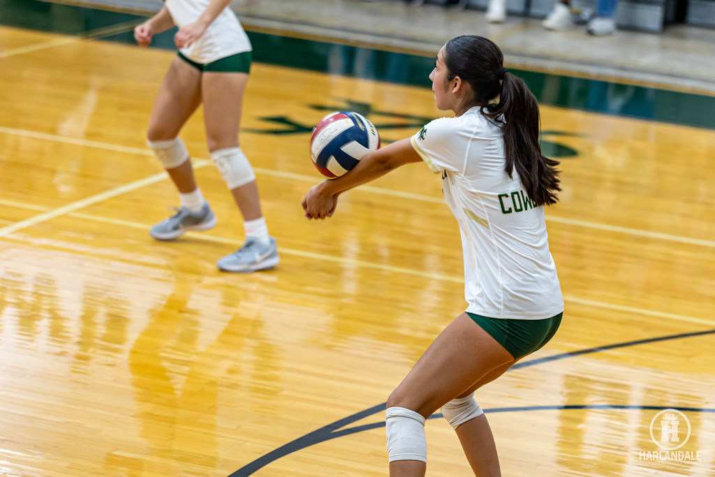 2025 MHS Volleball Bi-District Champs