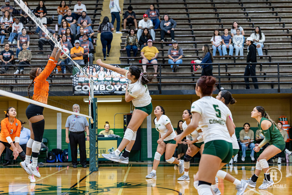 2025 MHS Volleball Bi-District Champs