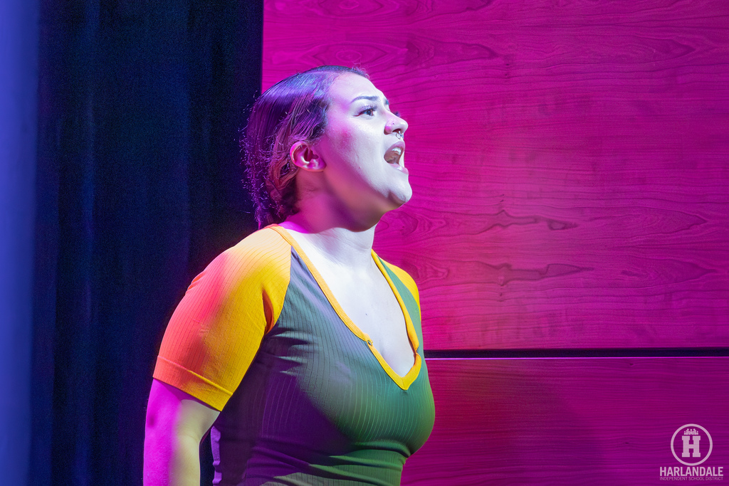 Harlandale ISD A Chorus Line