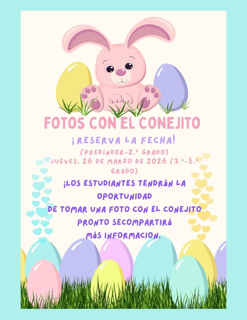 Bunny Photos- Spanish