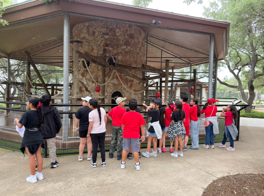 field trip