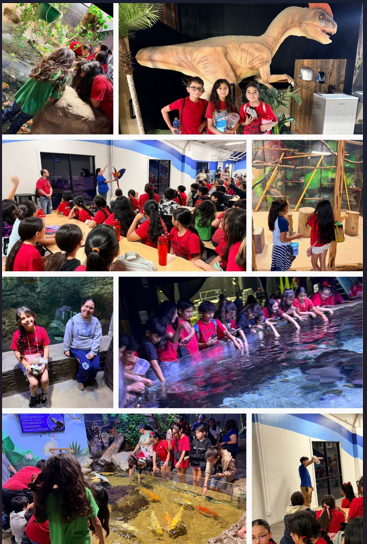4th Field Trip