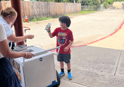 paletas