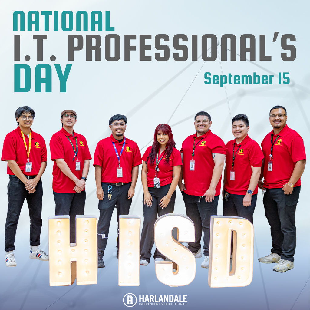 IT Professionals Day