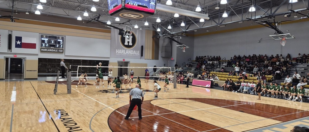 Volleyball
