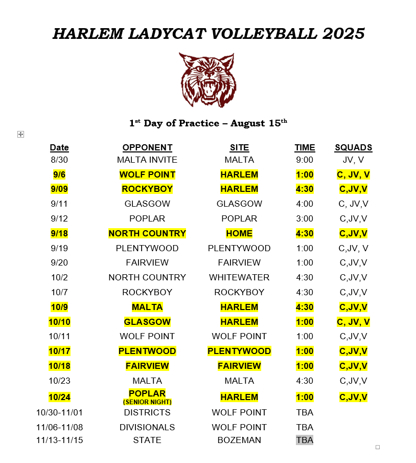 Volleyball