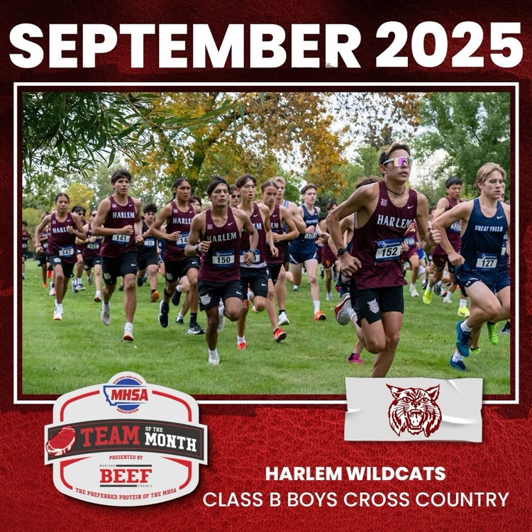 Harlem boys cross country team were named team of the month by mhsa