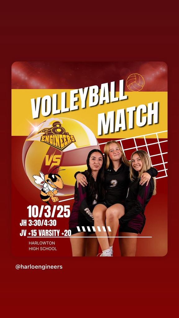 vb