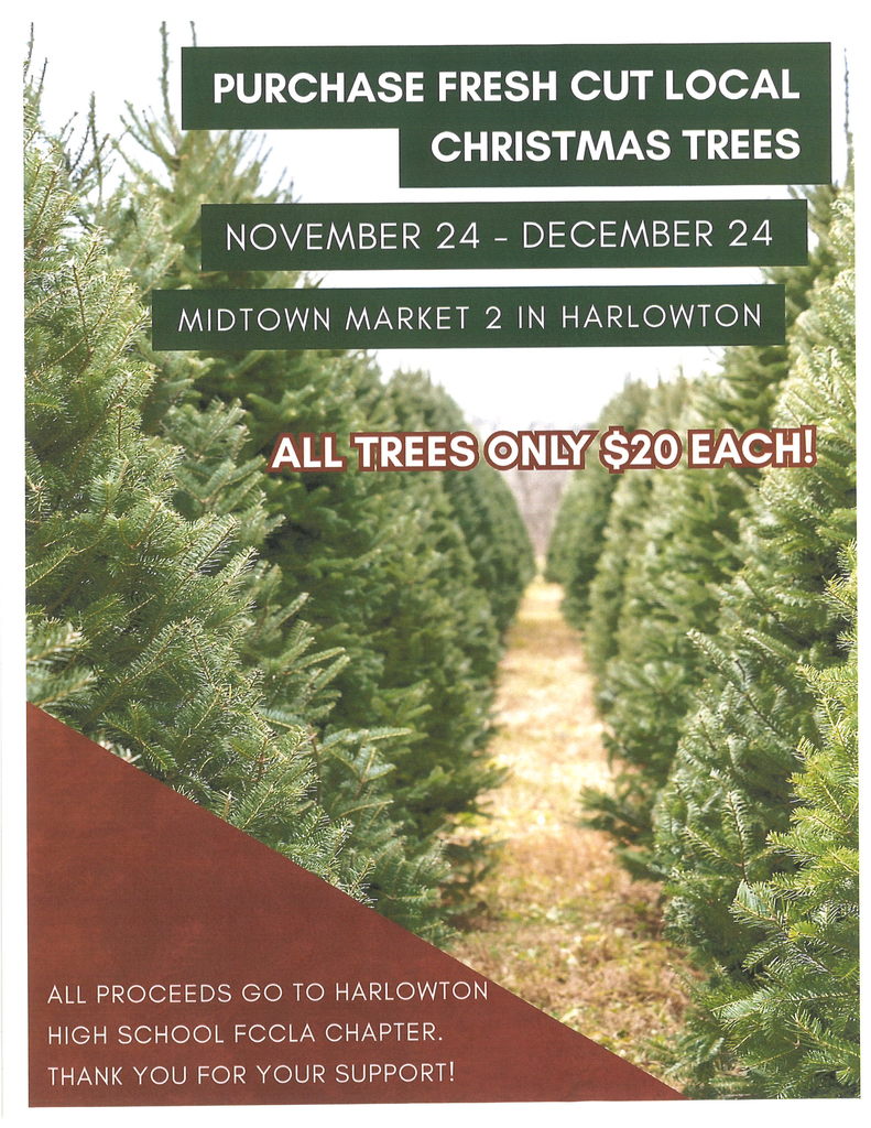 image of christmas trees