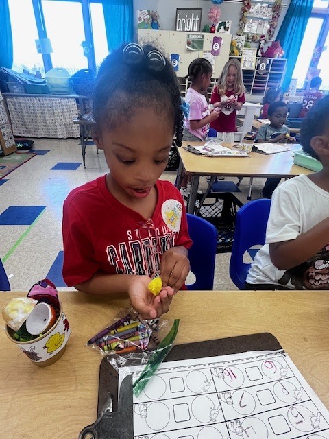 Spring Activities Collins Class