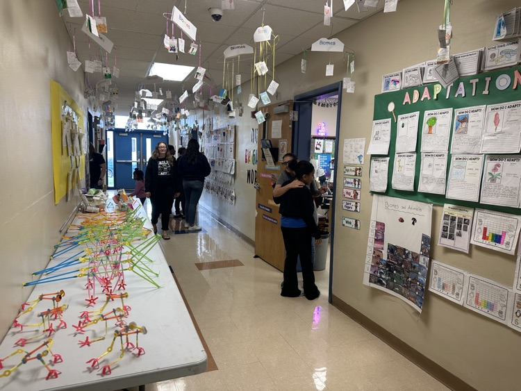 4th Grade Biomes