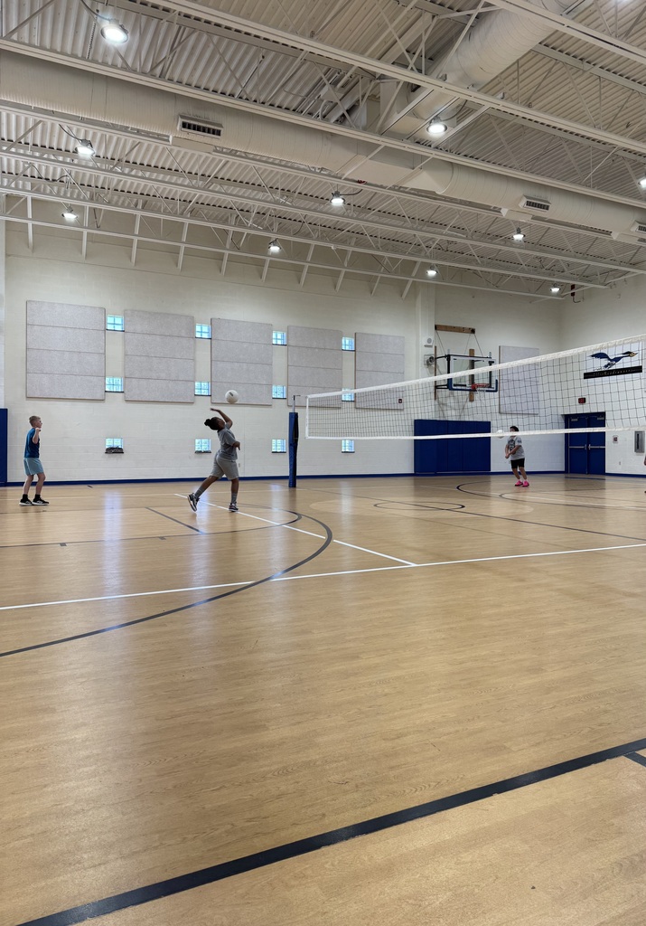 Boys Volleyball Camp