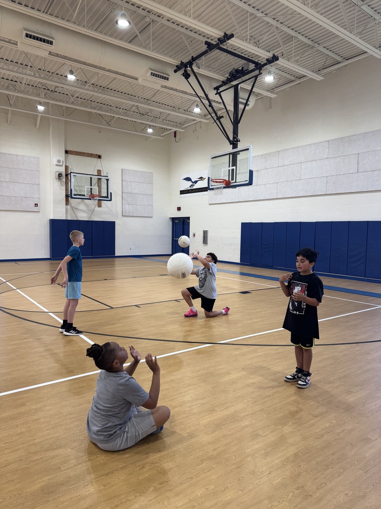 Boys Volleyball Camp