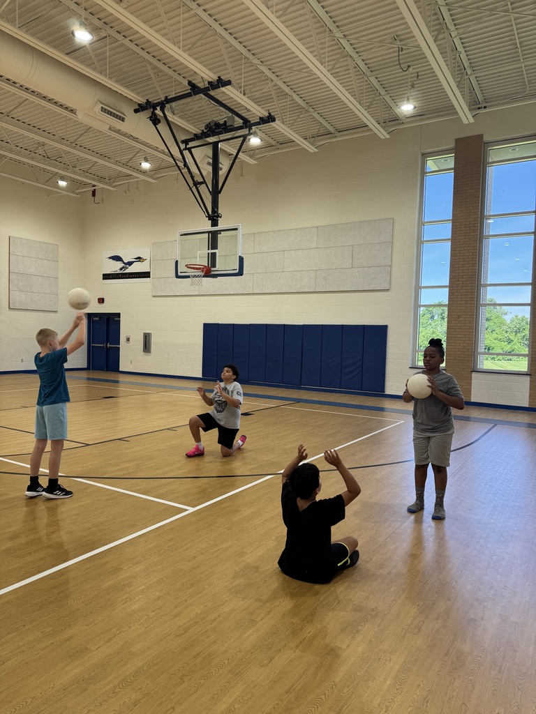 Boys Volleyball Camp