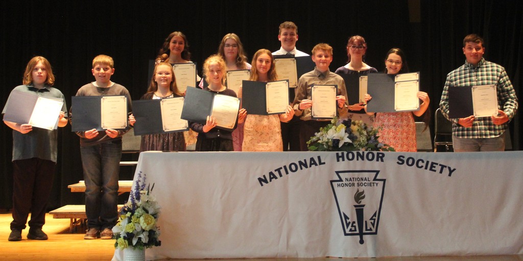 NHS and Scholars participants