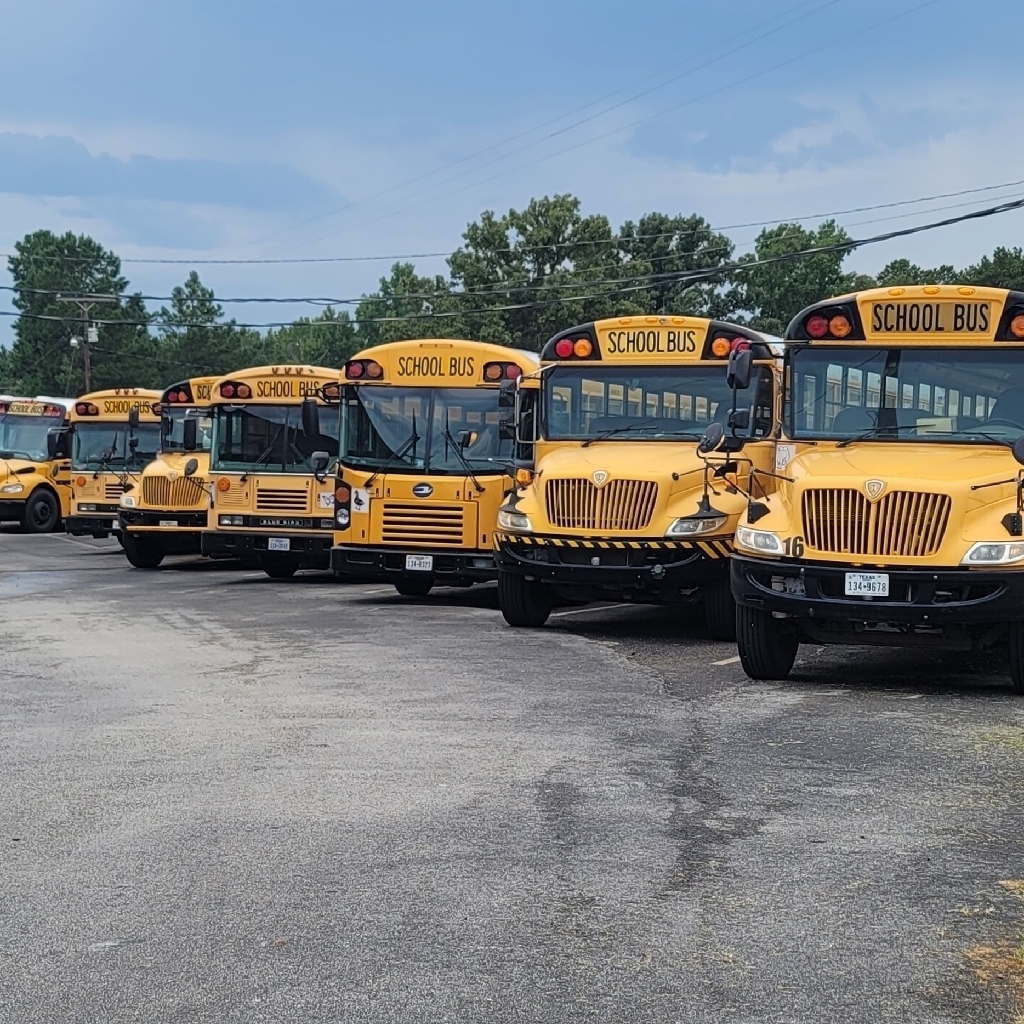 school busses