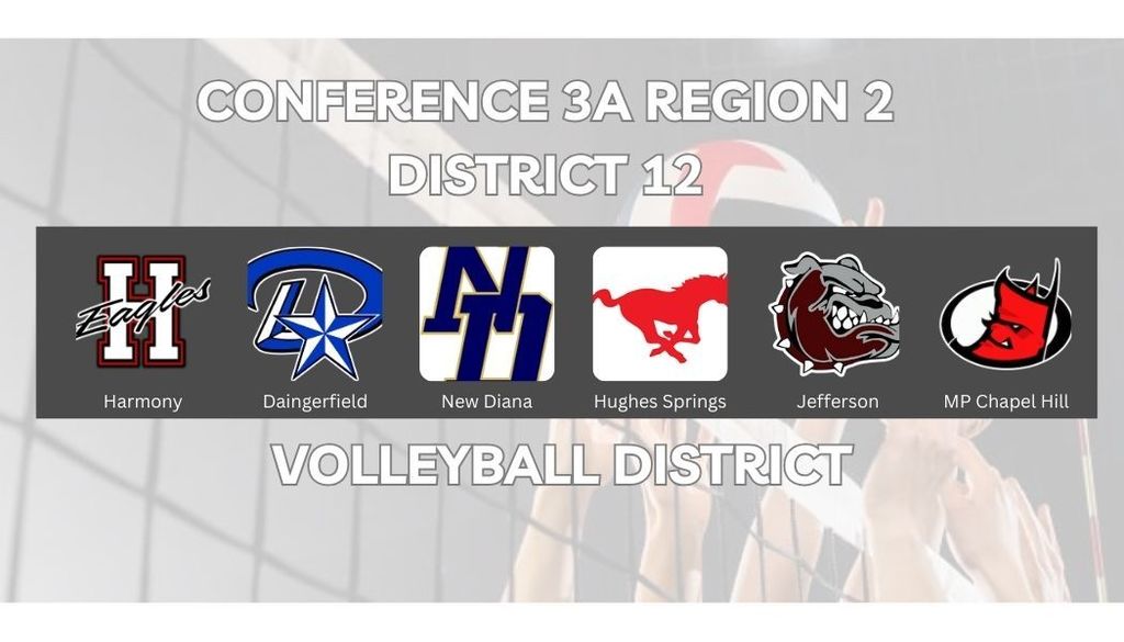 26-28 Volleyball District