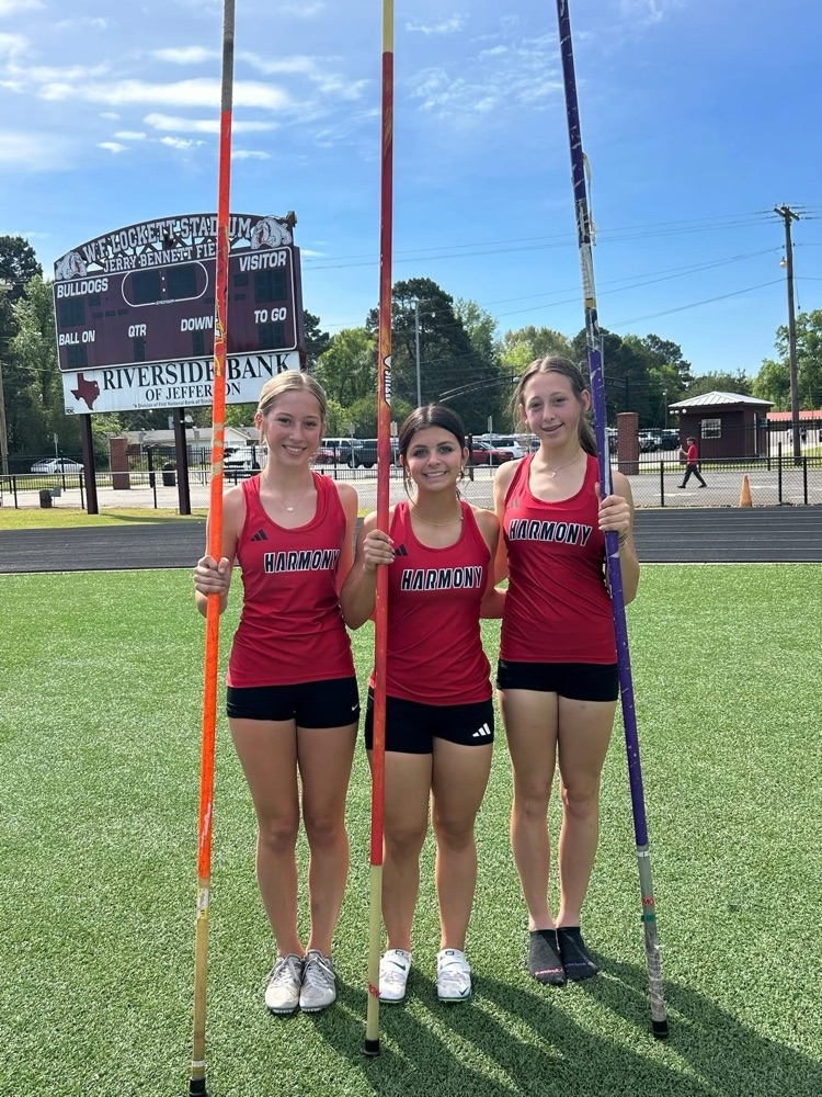 pole vault