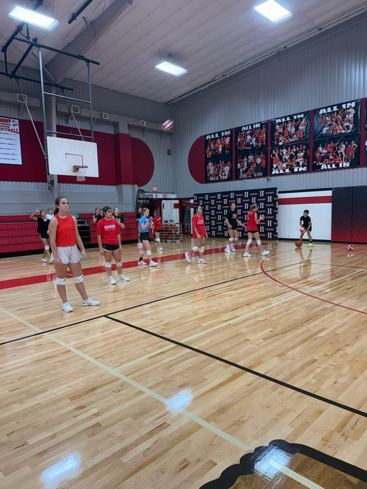 Volleyball putting in the work!