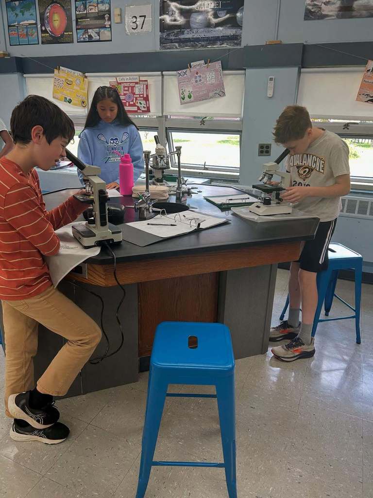 Students using microscopes