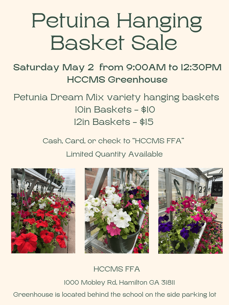plant sale