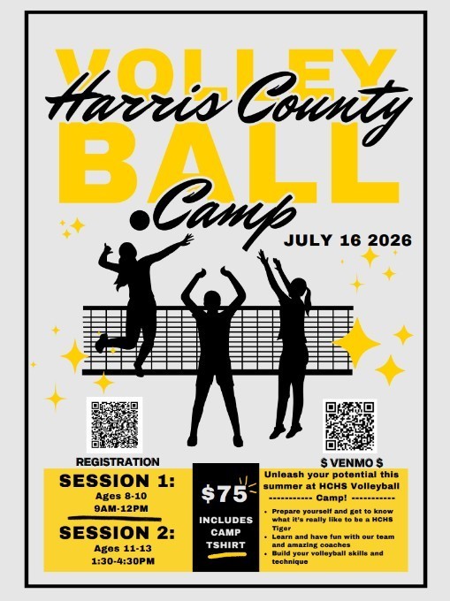 Volley ball camp