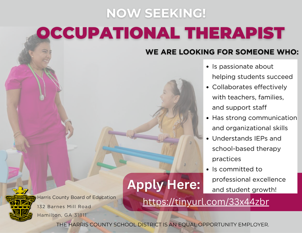 occ therapist job