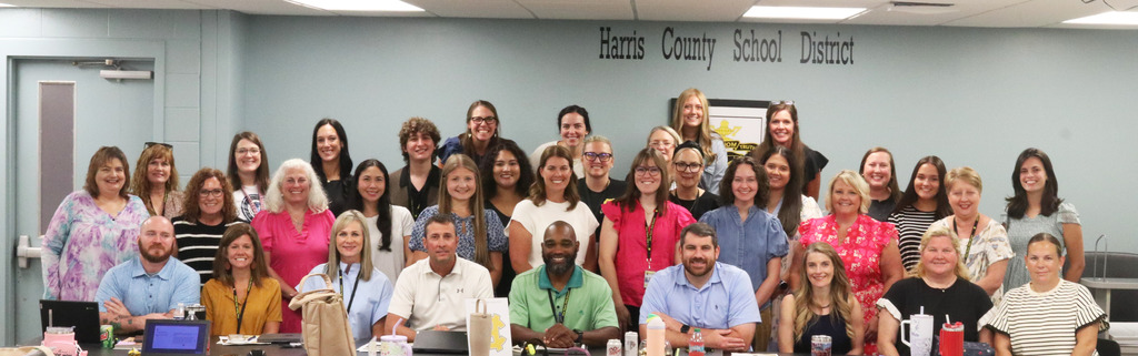 new teachers 