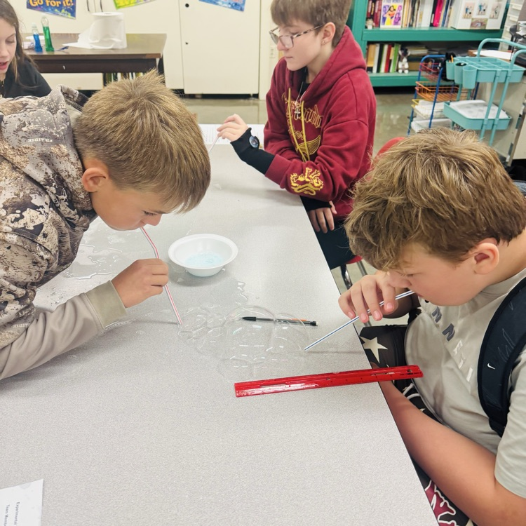 Bubble Experiment