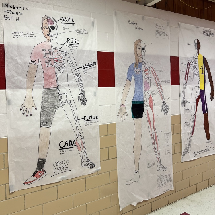 Ms. Bass’s 7th grade life science class created human anatomy projects, combining skeletal structures with creative designs. Instead of labeling every body part, we focused on a different approach to learning and representation.
