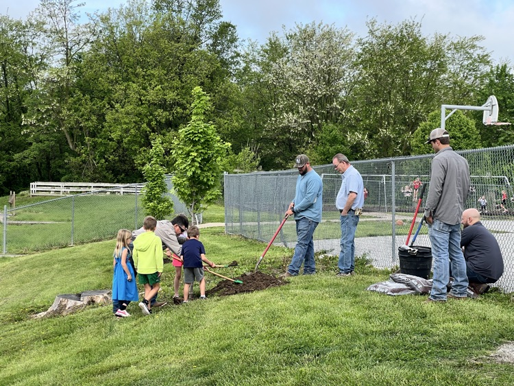 students help plant a tree 