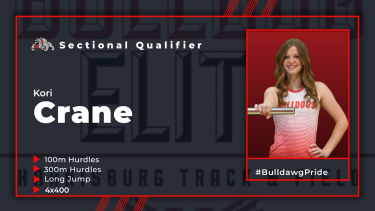 qualifier 