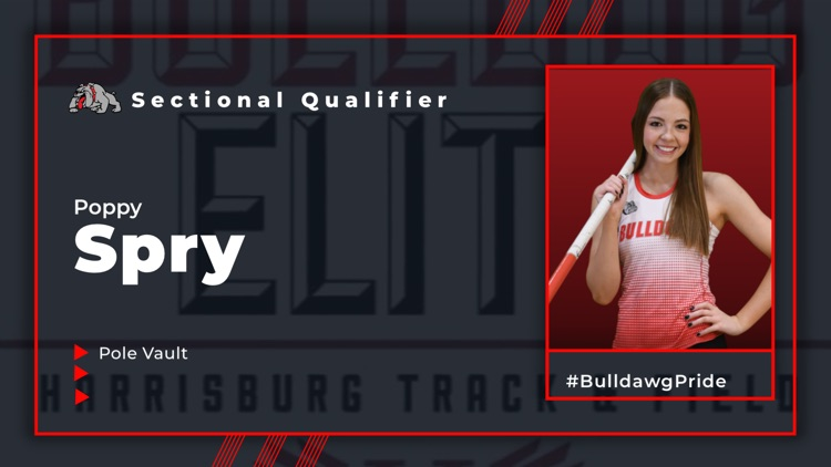 qualifier 
