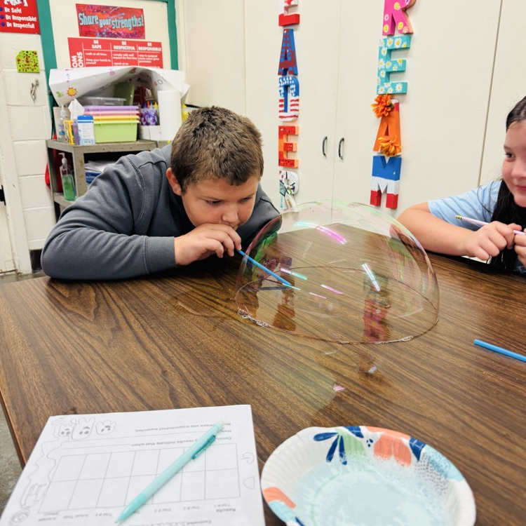 Bubbles Experiment 