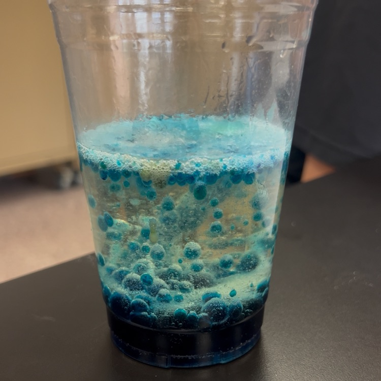 Ms. Bass’s 7th grade class had some fun with science by making their own lava lamps! Students explored physical and chemical properties while observing how different substances interact. A fun, hands-on way to bring science to life! 